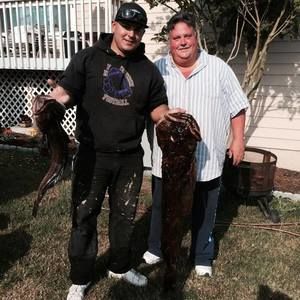 Meet your Posher, Roy